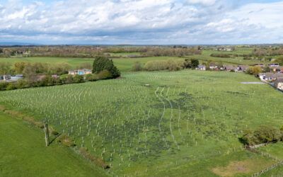 Earth Day 2026: One Year of Thompson Wood